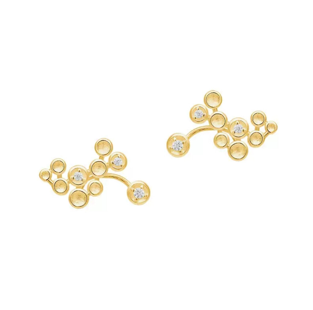 botanic_garden_jewellery_earrings_starry_night_gold_plated_sterling_silver